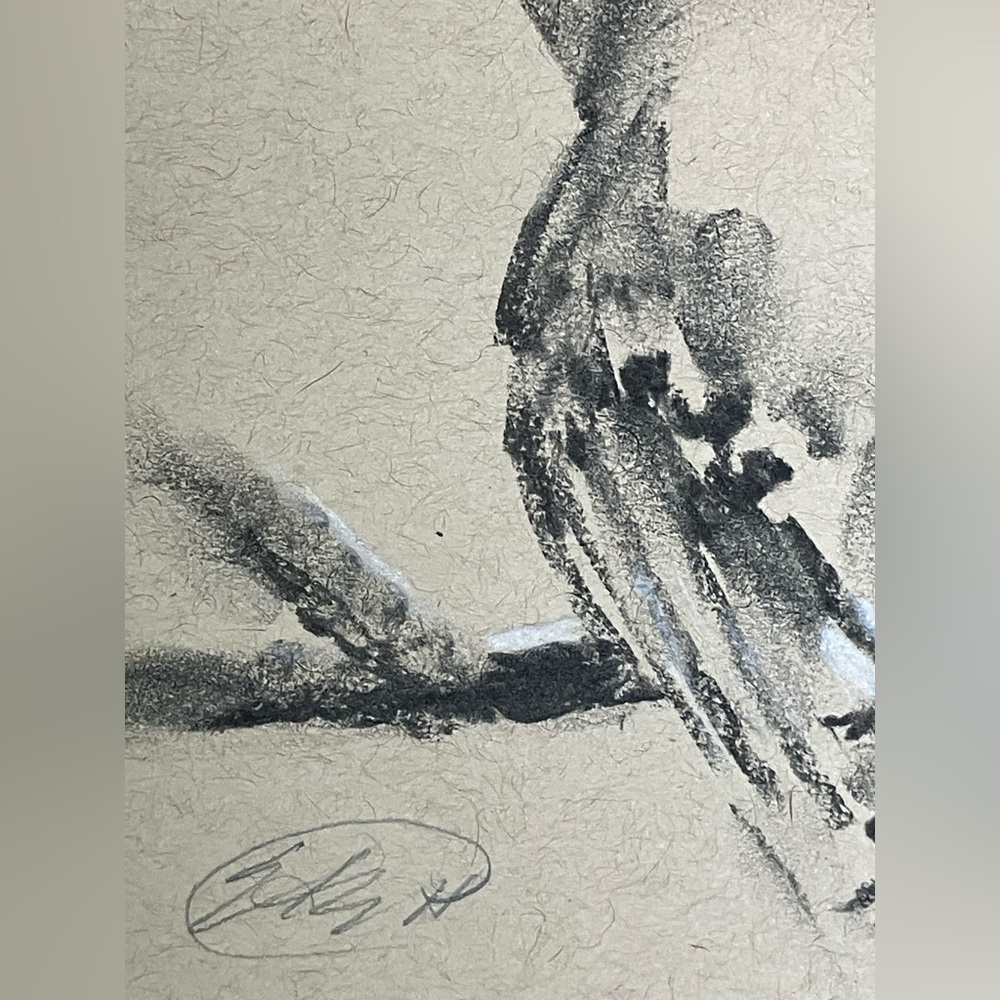Original Jay bird painting pastel art charcoal wall decor nature artwork USA - Picture 4 of 6